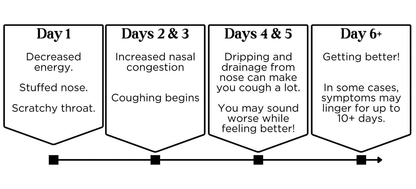 A diagram of a cough

Description automatically generated with medium confidence