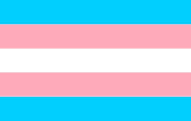 Transgender Flag