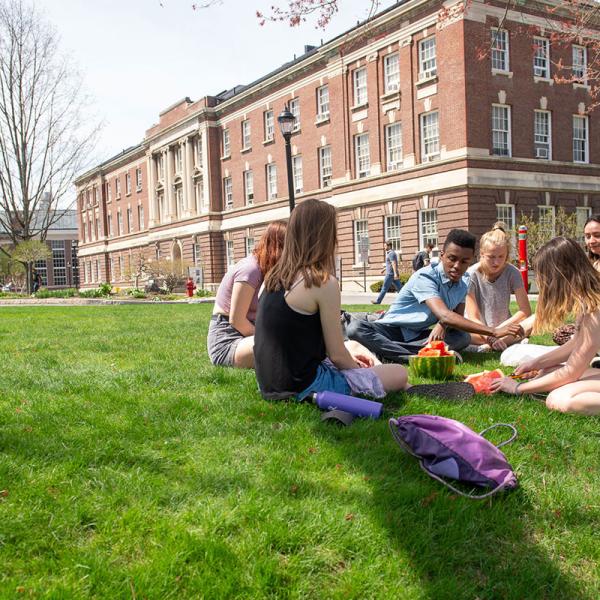 Students working in a group outside on the lawn